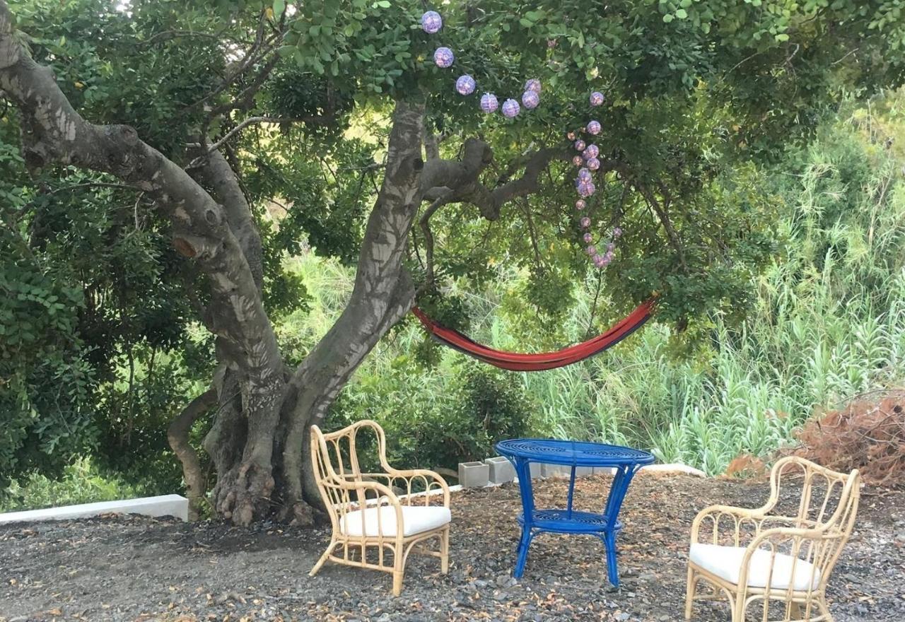 Algarrobo Azul Villa อัลมูเญการ์ ภายนอก รูปภาพ